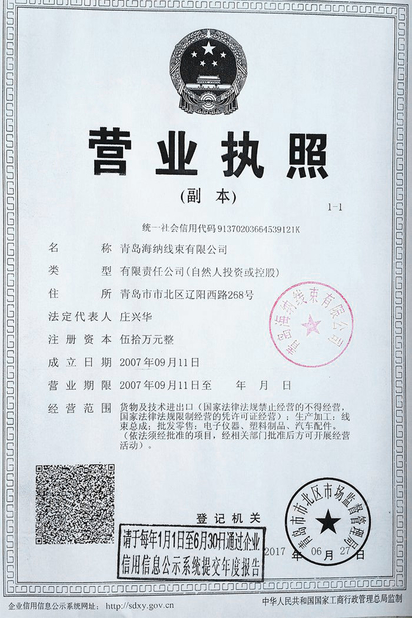 중국 Qingdao Hainr Wiring Harness Co., Ltd. 인증
